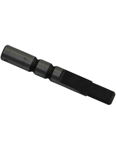 Recambio cortador de cadena Regina 805176 | Motoauto