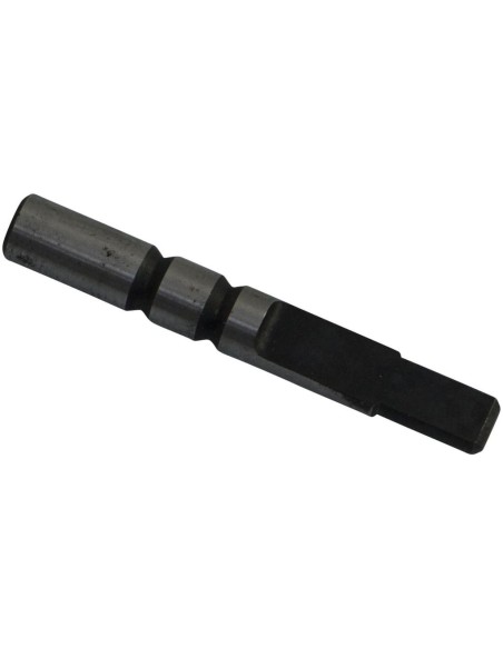 Recambio cortador de cadena Regina 805176 | Motoauto