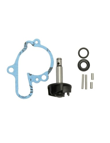 Kit de reparacin de bomba de agua RMS 100110081 | Motoauto