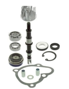 Kit de reparacin de bomba de agua RMS 100110460 | Motoauto