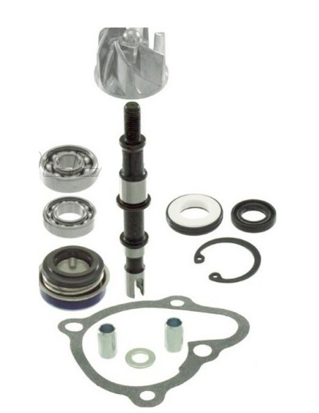 Kit de reparacin de bomba de agua RMS 100110460 | Motoauto