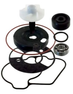 Kit de reparacin de bomba de agua RMS 100110540 | Motoauto