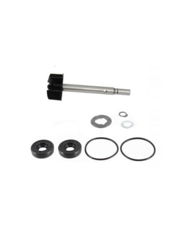 RMS Kit de reparacin de bomba de agua 100110580 | Motoauto