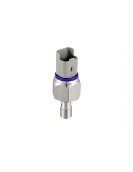RMS Presostato frenos aceite Piaggio 100120480 | Motoauto