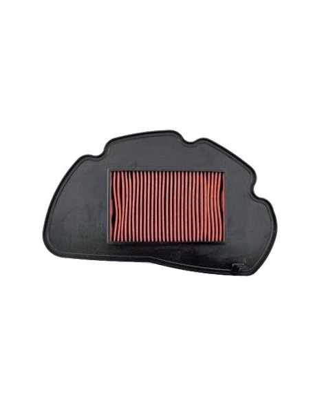 Filtro Aire Rms Honda Pcx 125 2011 100602660 | Motoauto