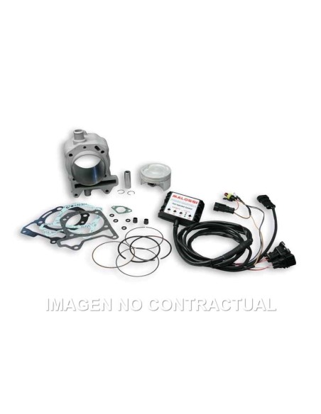 Cilindro Malossi HiTech Aprilia SR Max 125