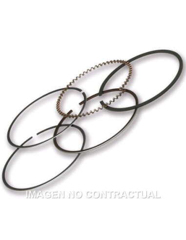 SEGMENTOS MALOSSI D.49 PIAGGIO LIBERTY 50 IGET