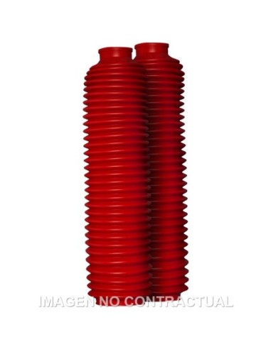 Fuelle Circuit 32 Dientes Rojo