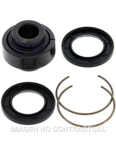 Kit de revisión amortiguador trasero All Balls 29-5029