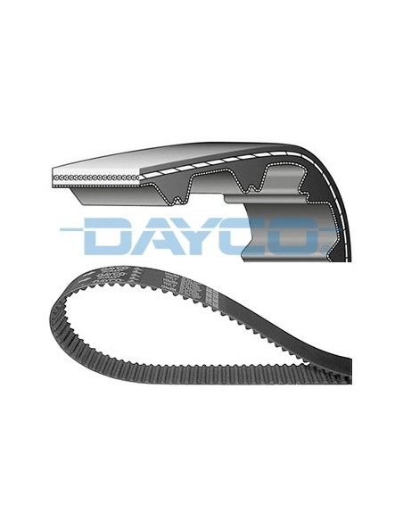 Correa bomba aceite Piaggio Velofax 50