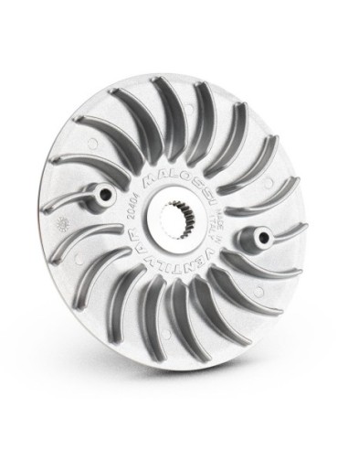 SEMIPOLEA MALOSSI VENTILVAR HONDA SH 350 E5
