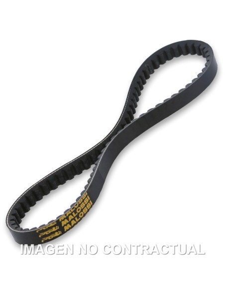 CORREA MALOSSI SPECIAL BELT PIAGGIO CIAO 50
