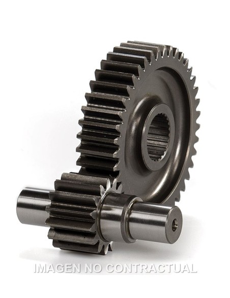 Desarrollo Secundario Runner 125