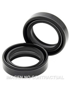 Kit de retenes de aceite horquilla All Balls 55-102