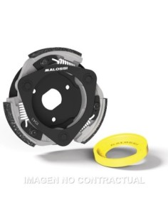Embrague Maxi Delta Clutch Honda Forza 125