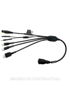 Cable diagnosis Texa 3151/AP59 Yamaha