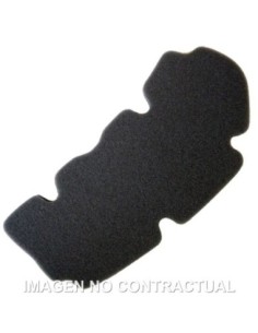 Filtro aire Meiwa Peugeot Geopolis 125