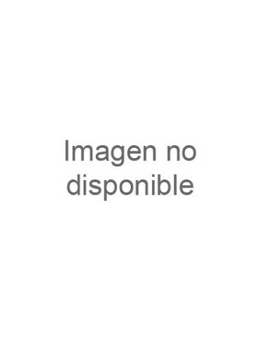 CAMARA IMPORTACION 5.00 -21  TR4...